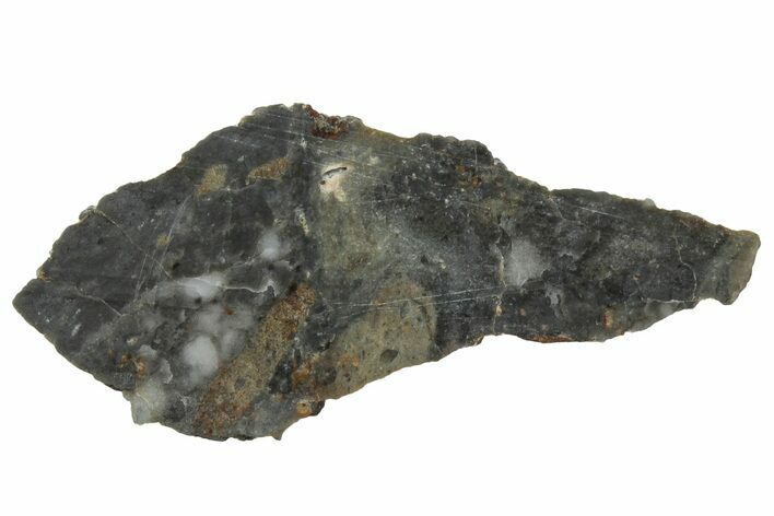 NWA Lunar Meteorite ( g) Slice #307455